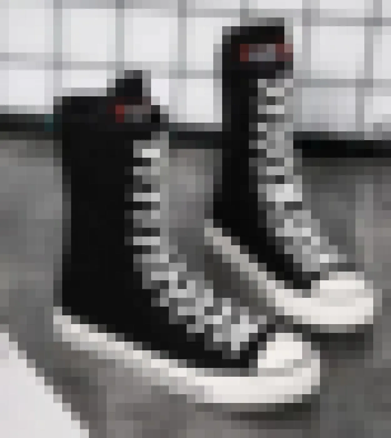 Comemore Women Vulcanized Shoes Canvas White Black Sneakers Classic  Autumn Ladies Shoes Casual Punk Style Female Flats
