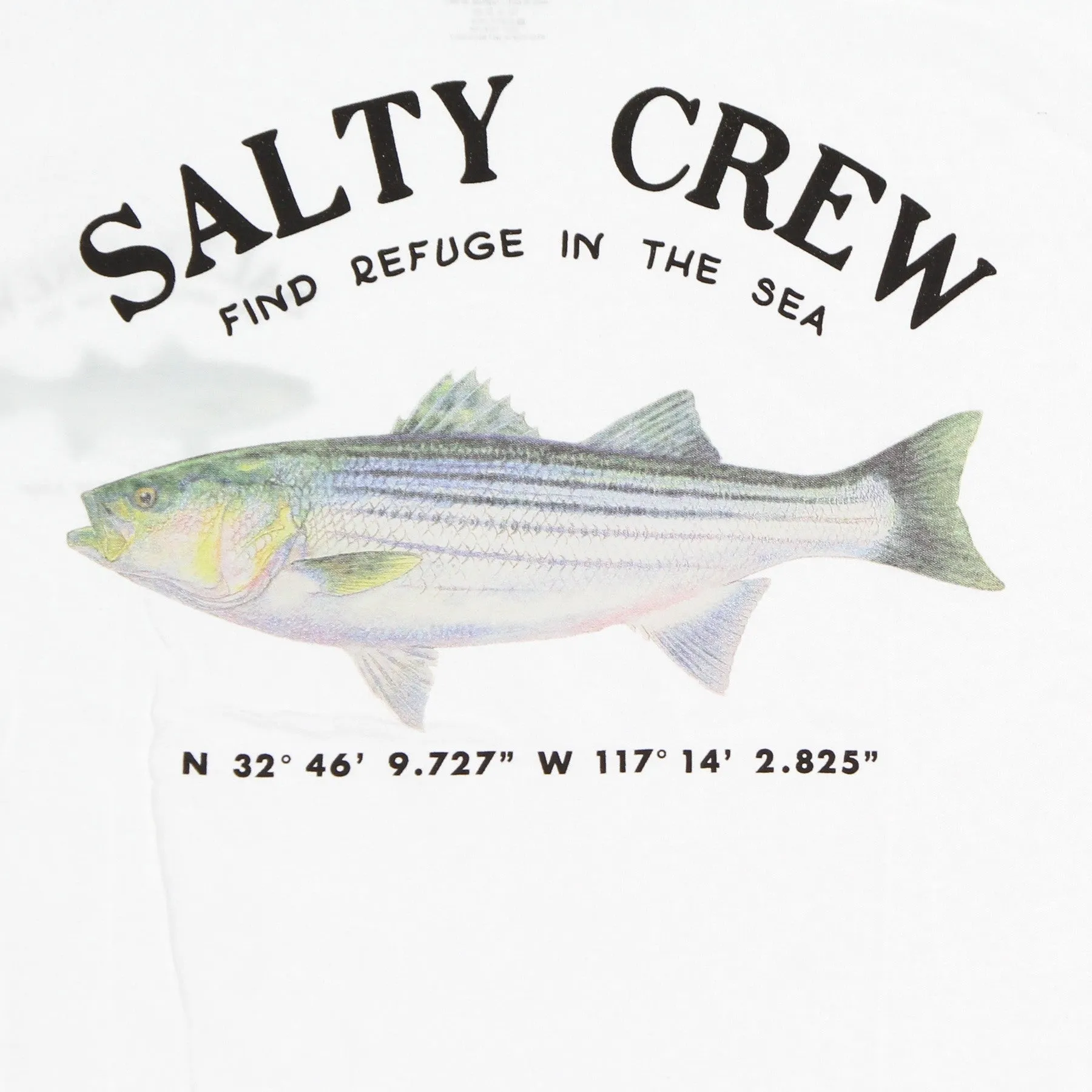 Maglietta Uomo Striper Standard Tee White