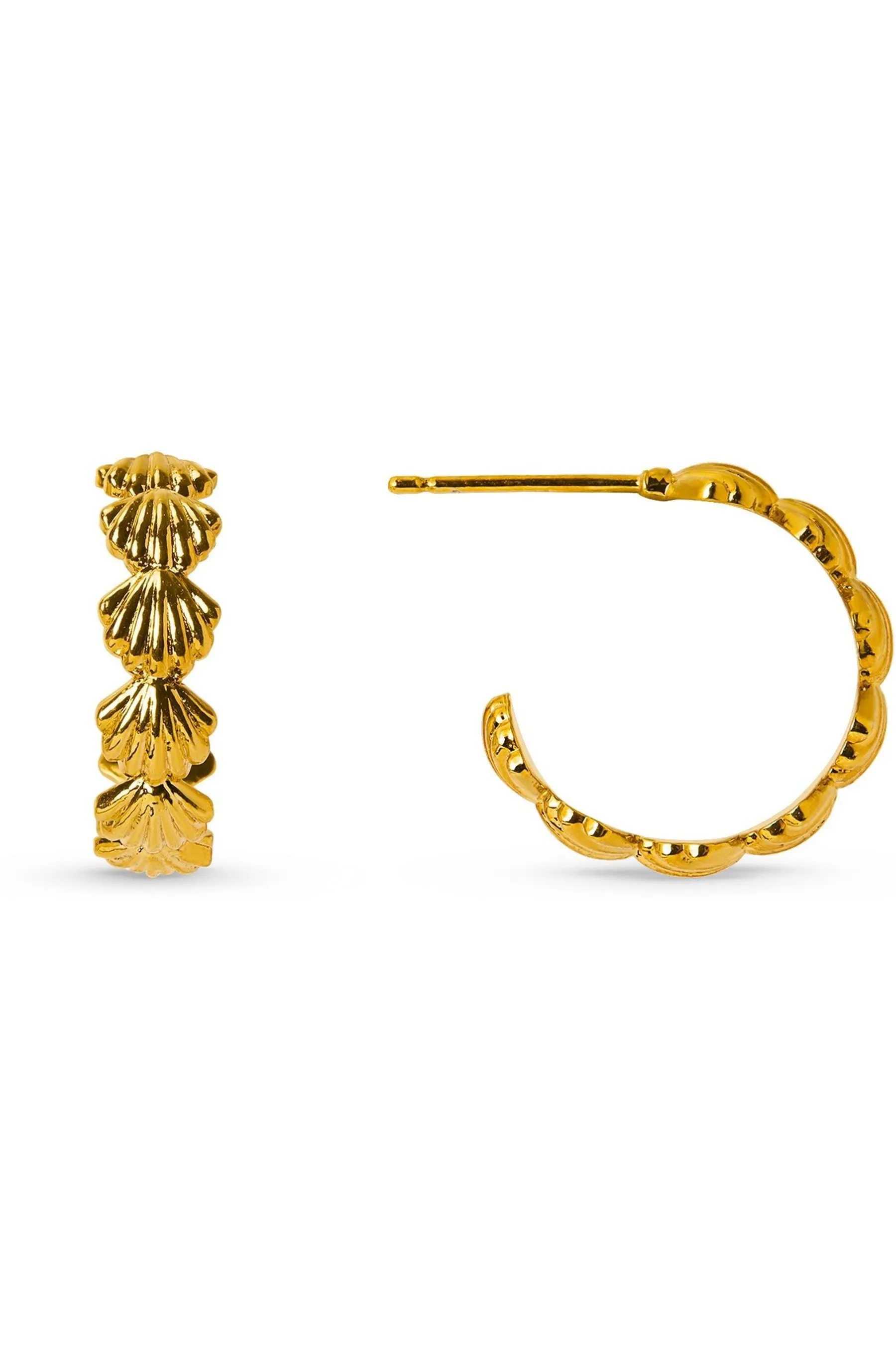 Orelia London Oro placcato - Orecchini a cerchio a conchiglia