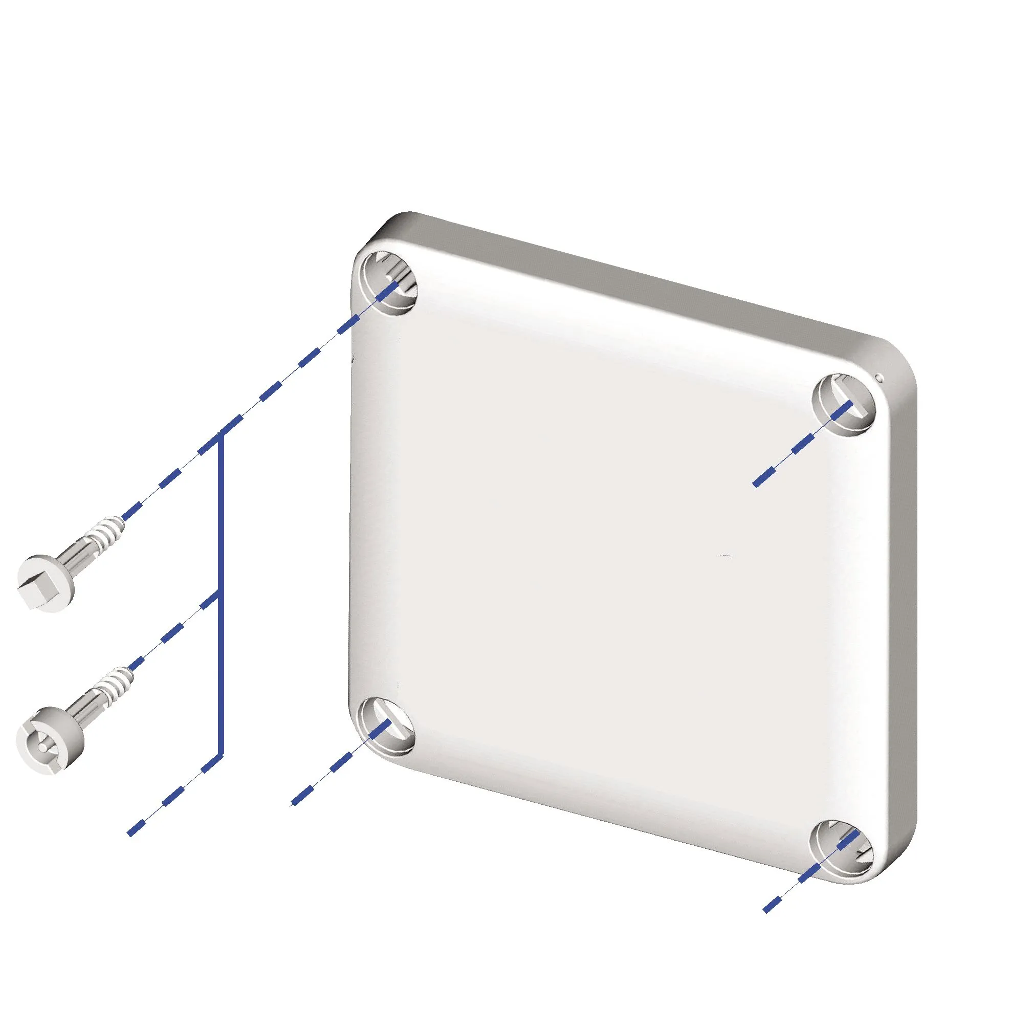 Vite Schneider Electric NSYAEDS per Thalassa TBS/TBP, 40 x 40mm